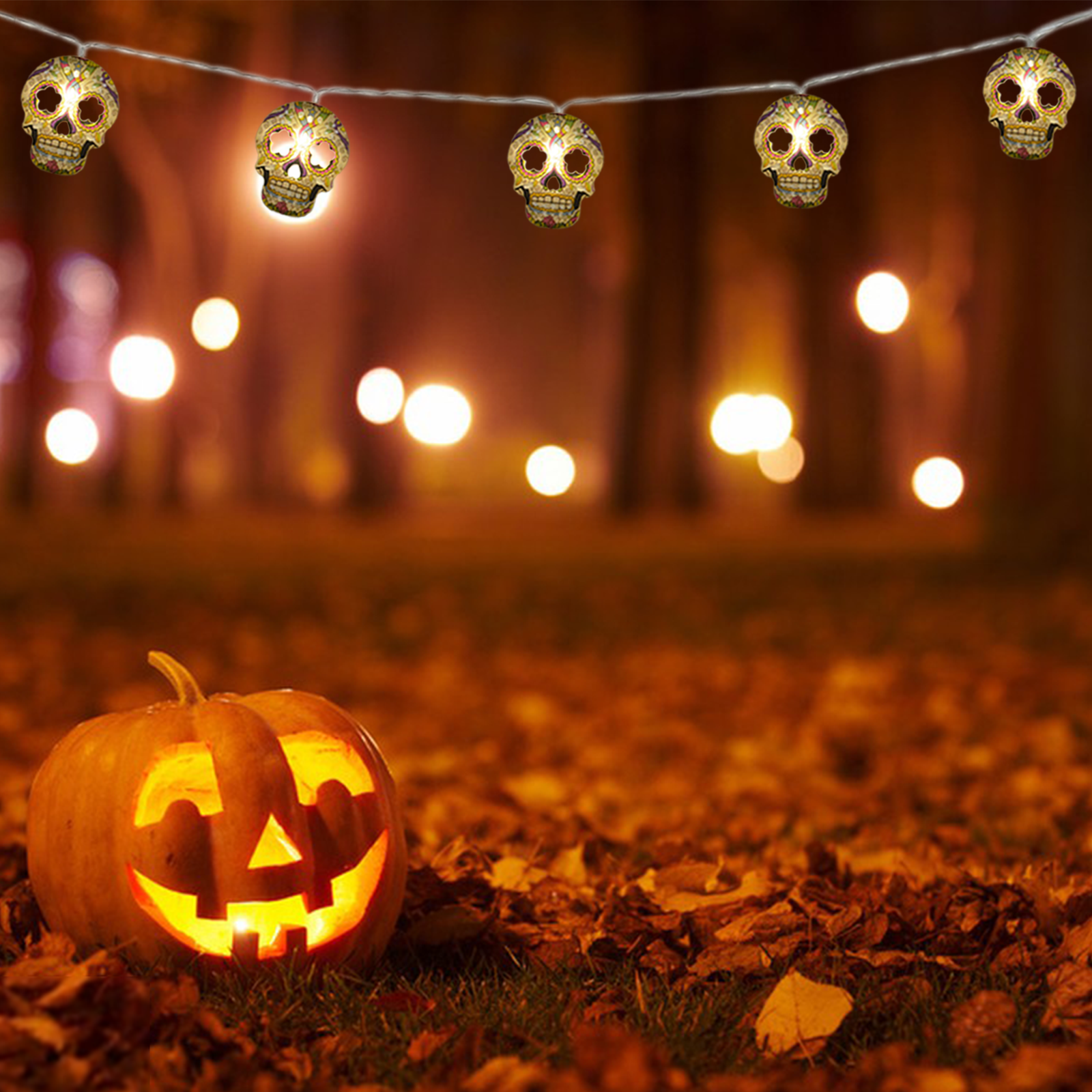 Halloween String Lights, Skull String Light Hallo ween Fall Fairy Light Battery/USB Powered Optional 2 Modes Cute Lights 2025 Indoor Outdoor Decor for Home Yard Patio